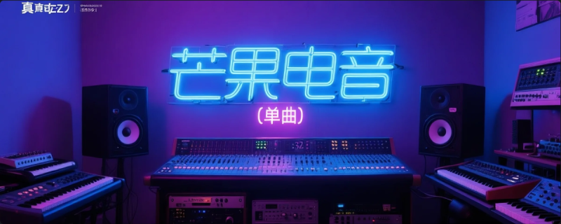 2024 维密开场秀(Victoria’s Secret)  Lisa  – Rockstar-芒果电音